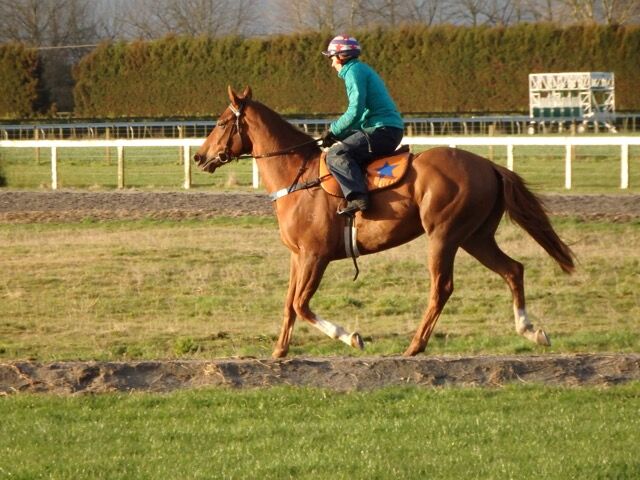 Te Akau Weekend Trackwork