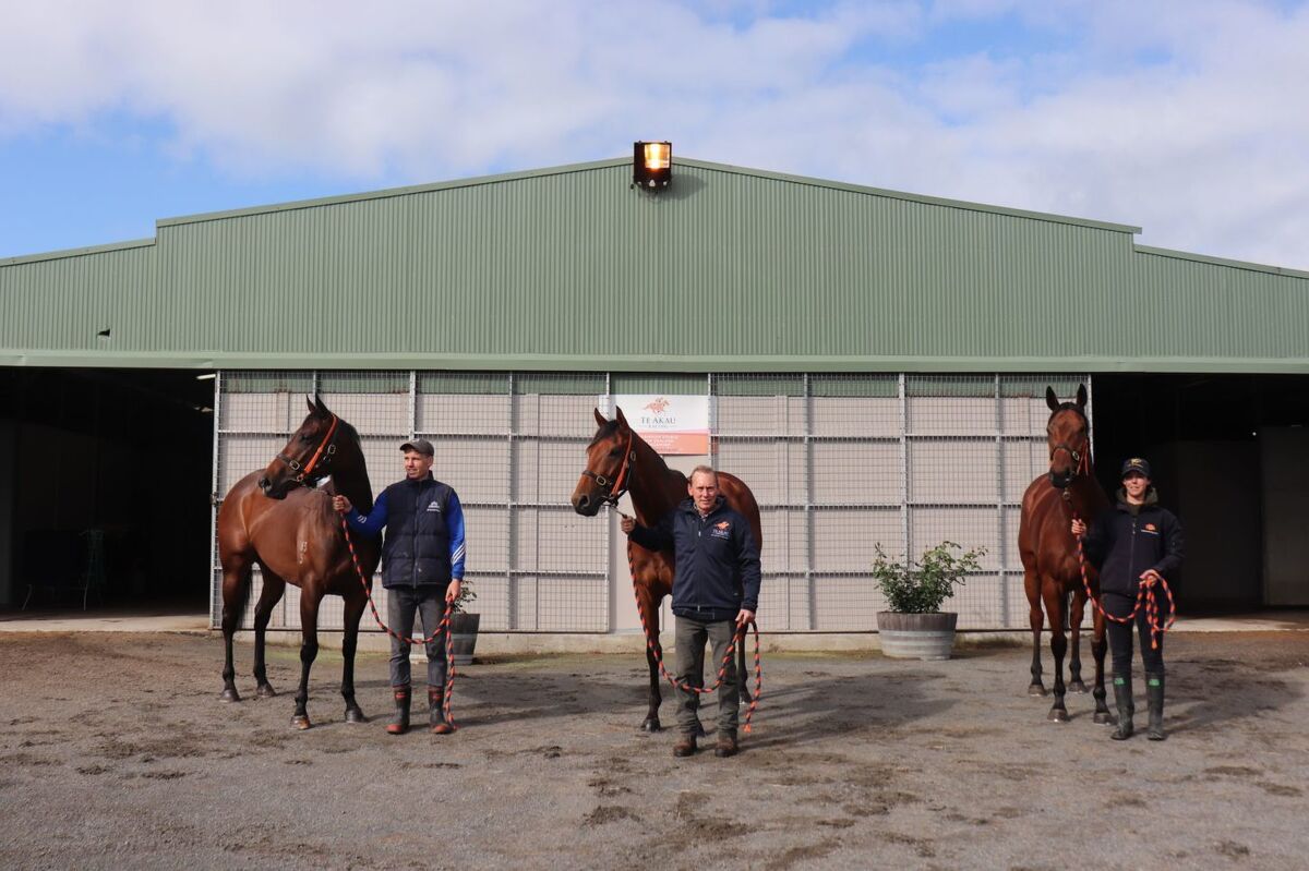 Te Akau Saturday North Island Preview