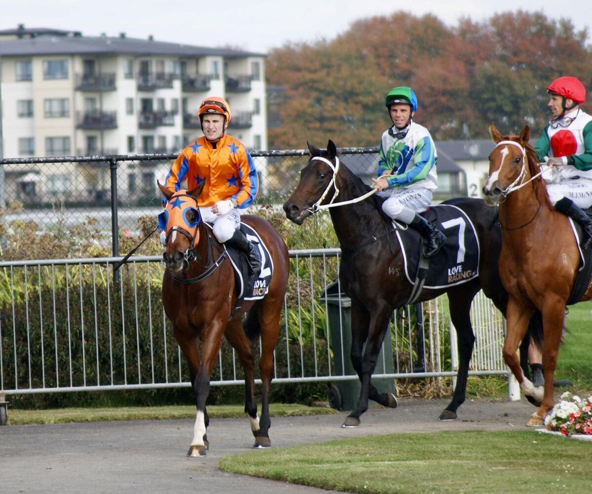 Te Akau Tuesday Update