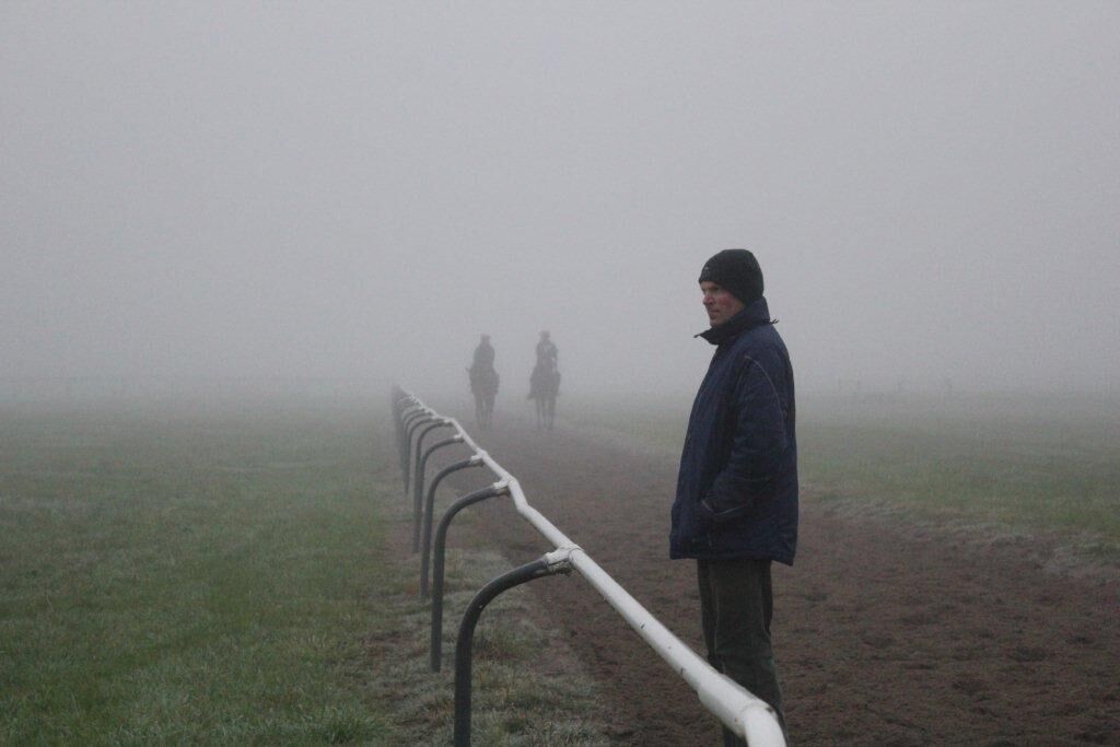Te Akau NZ Wednesday Gallops
