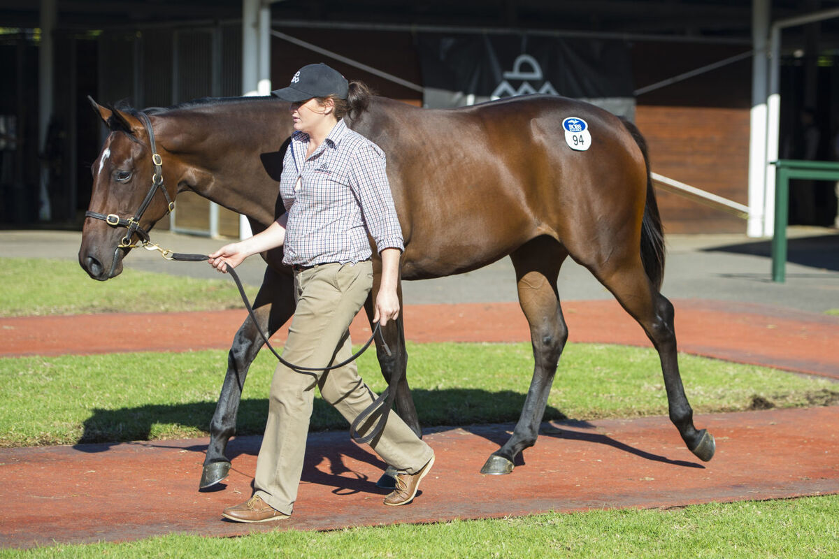 Te Akau Sydney Sale Update