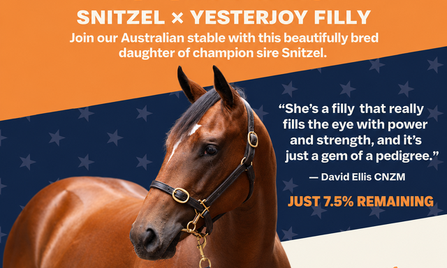 Yearling Spotlight: Snitzel Filly with Eye on Australia