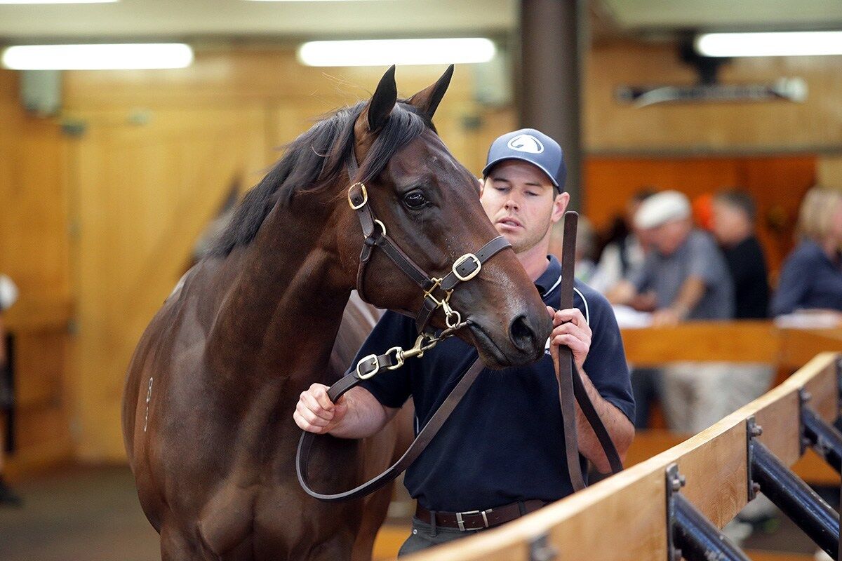 Savabeel Colt Tops RTR sale - sold to David Ellis
