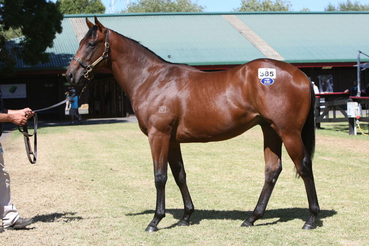 Karaka Day 2 Sale Topper
