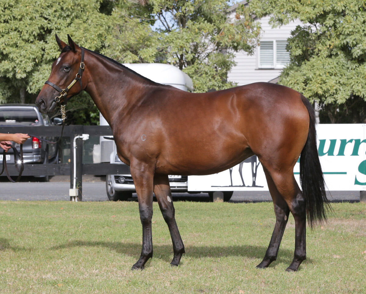 David Ellis Buys Filly of the Decade