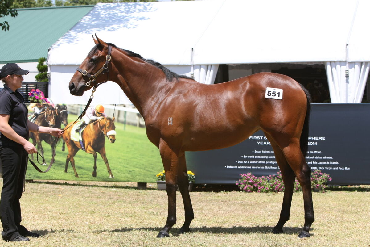 Swiss Ace Aussie Winner