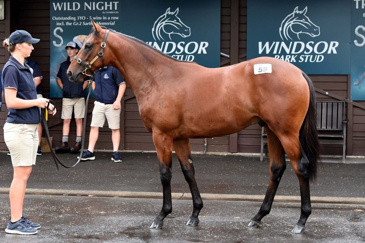 Karaka Day 1 Delight