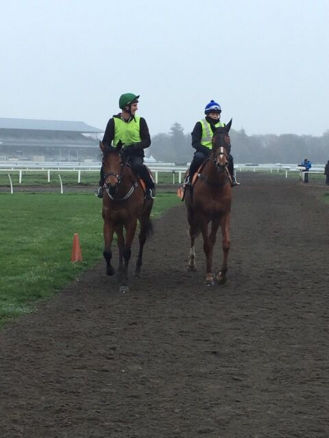Te Akau Thursday Trackwork