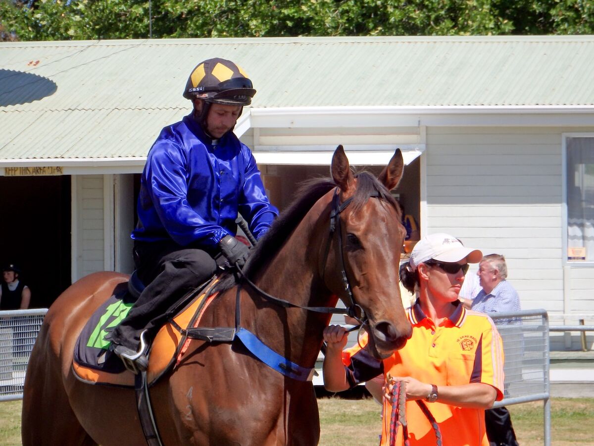 The NZ Racing Desk reports ...