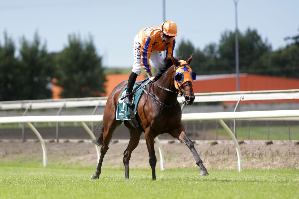 Te Akau's Strong Hand on Travis Day