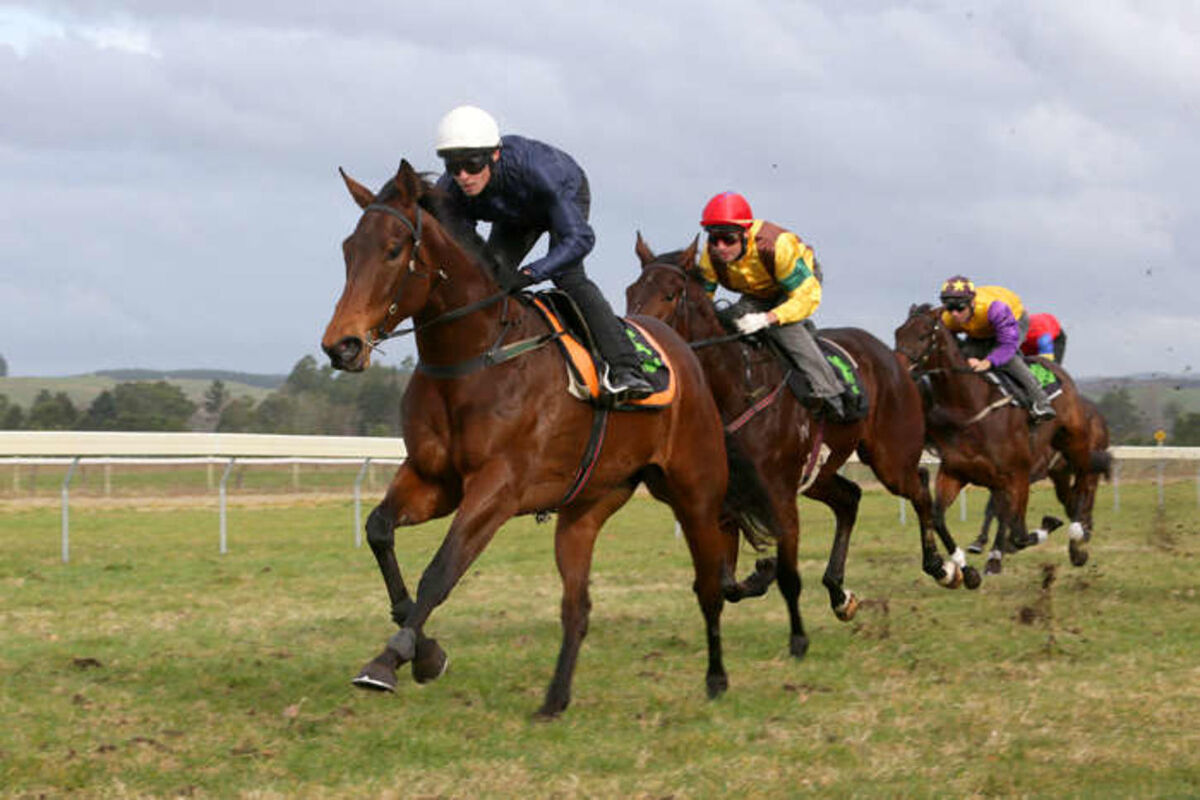 Famous Colours at Te Teko