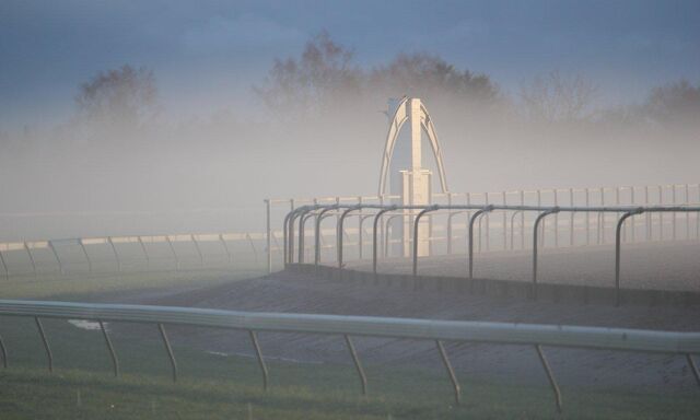 Te Akau Trans Tasman Tuesday Trackwork