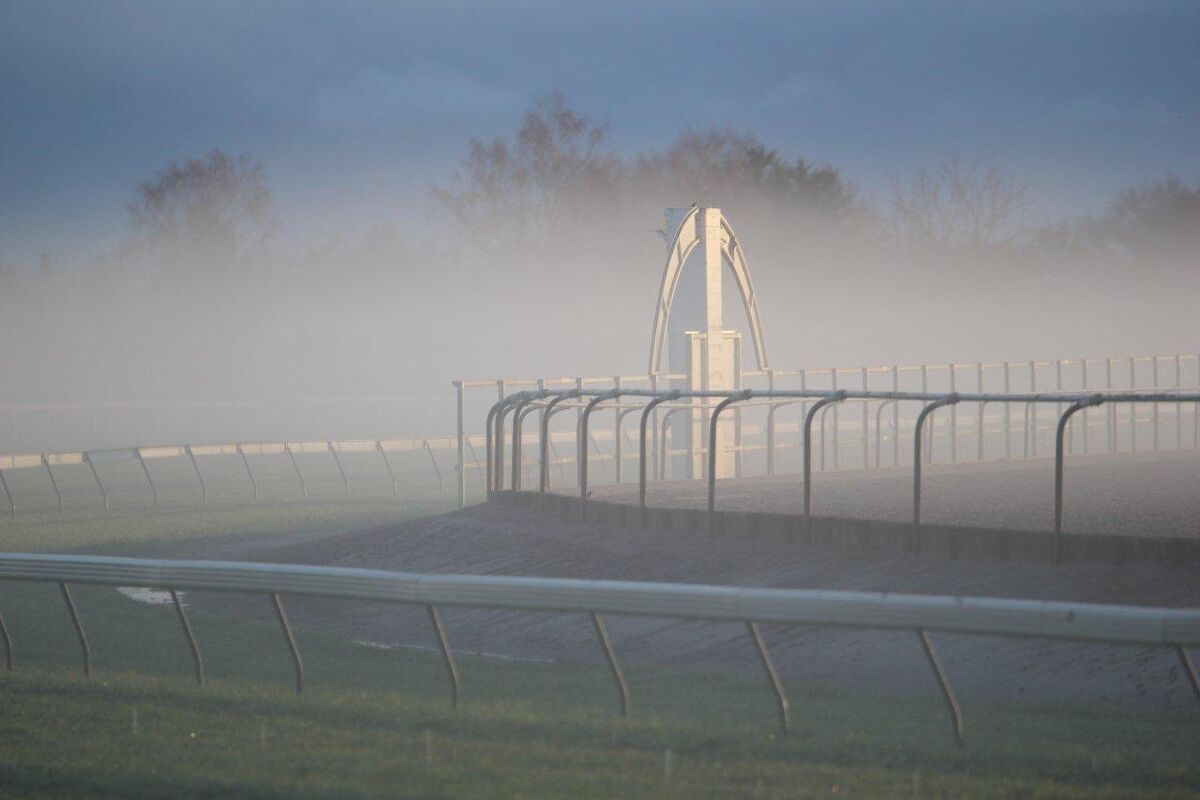 Te Akau Thursday Trackwork