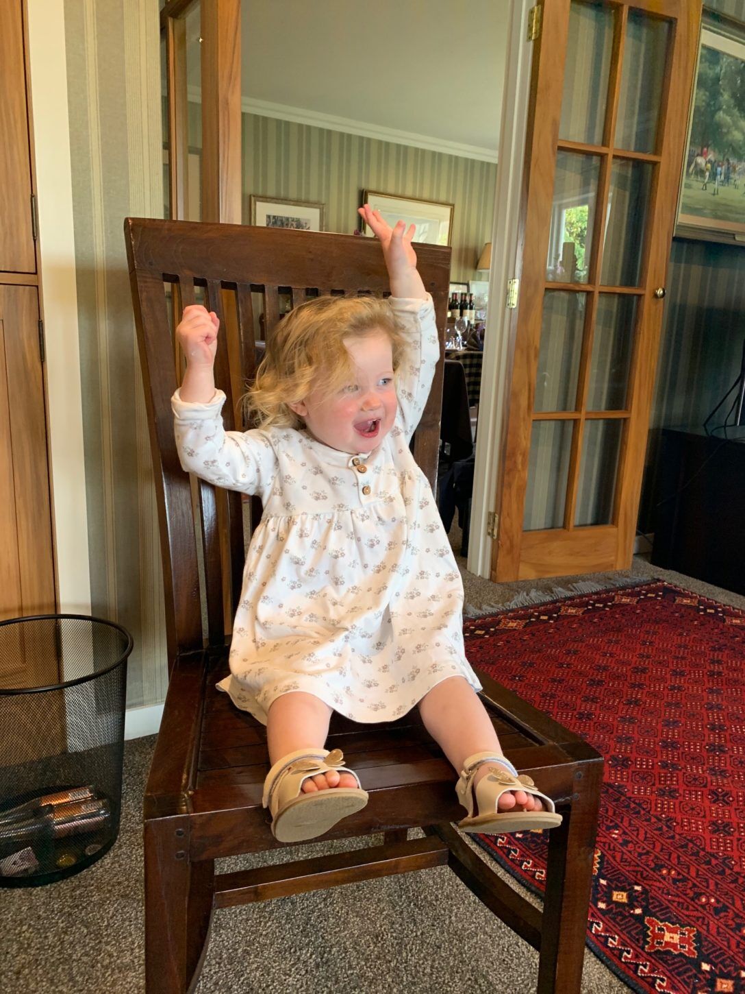 Te Akau Tuesday Update