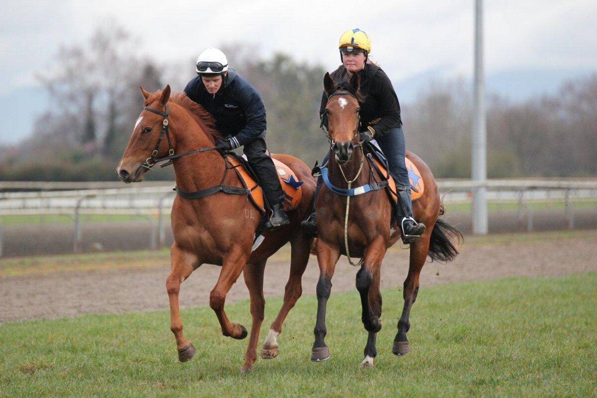 Te Akau Thursday Trackwork