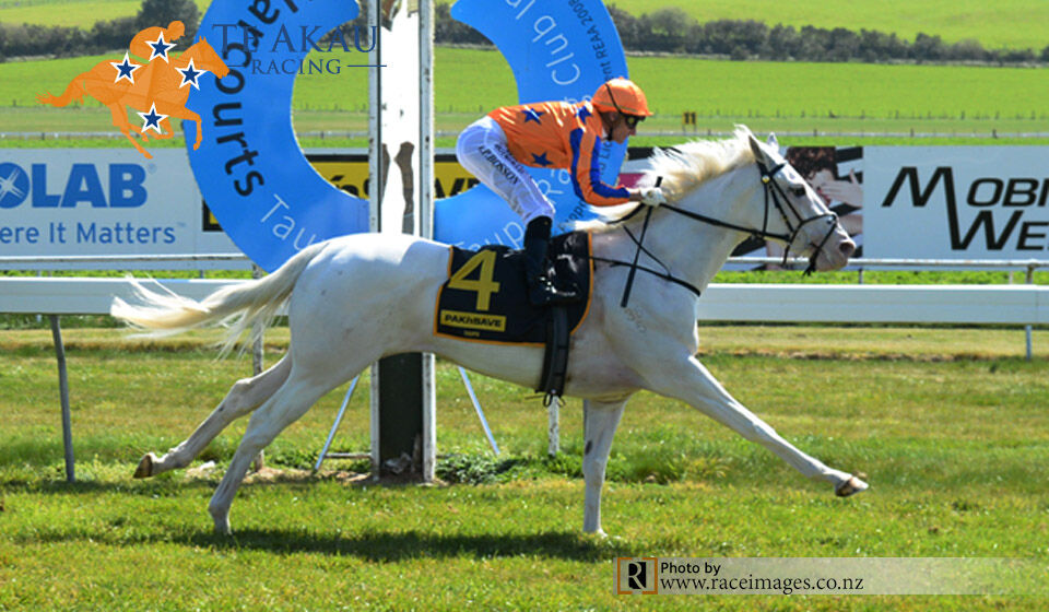 Luminous Shines in Taupo Winning Quartet