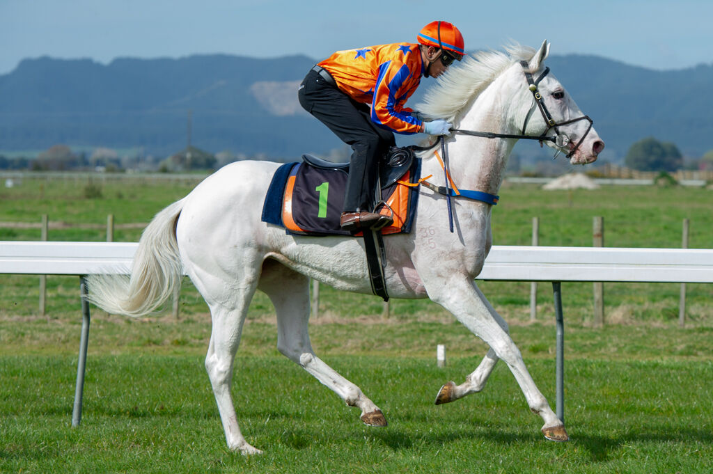 Te Akau Trials - North & South
