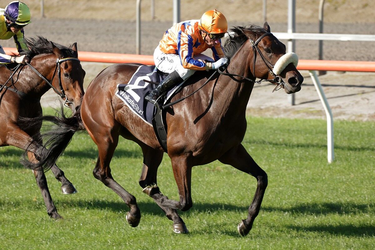 Te Akau Trans Tasman Saturday Preview