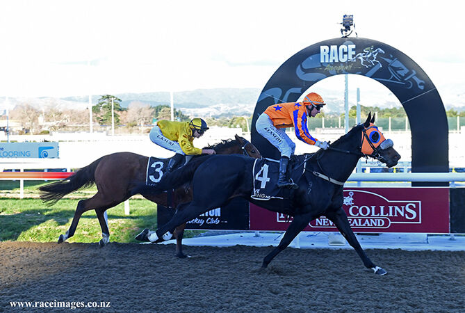 Luxuriant - NZ Season Win 160