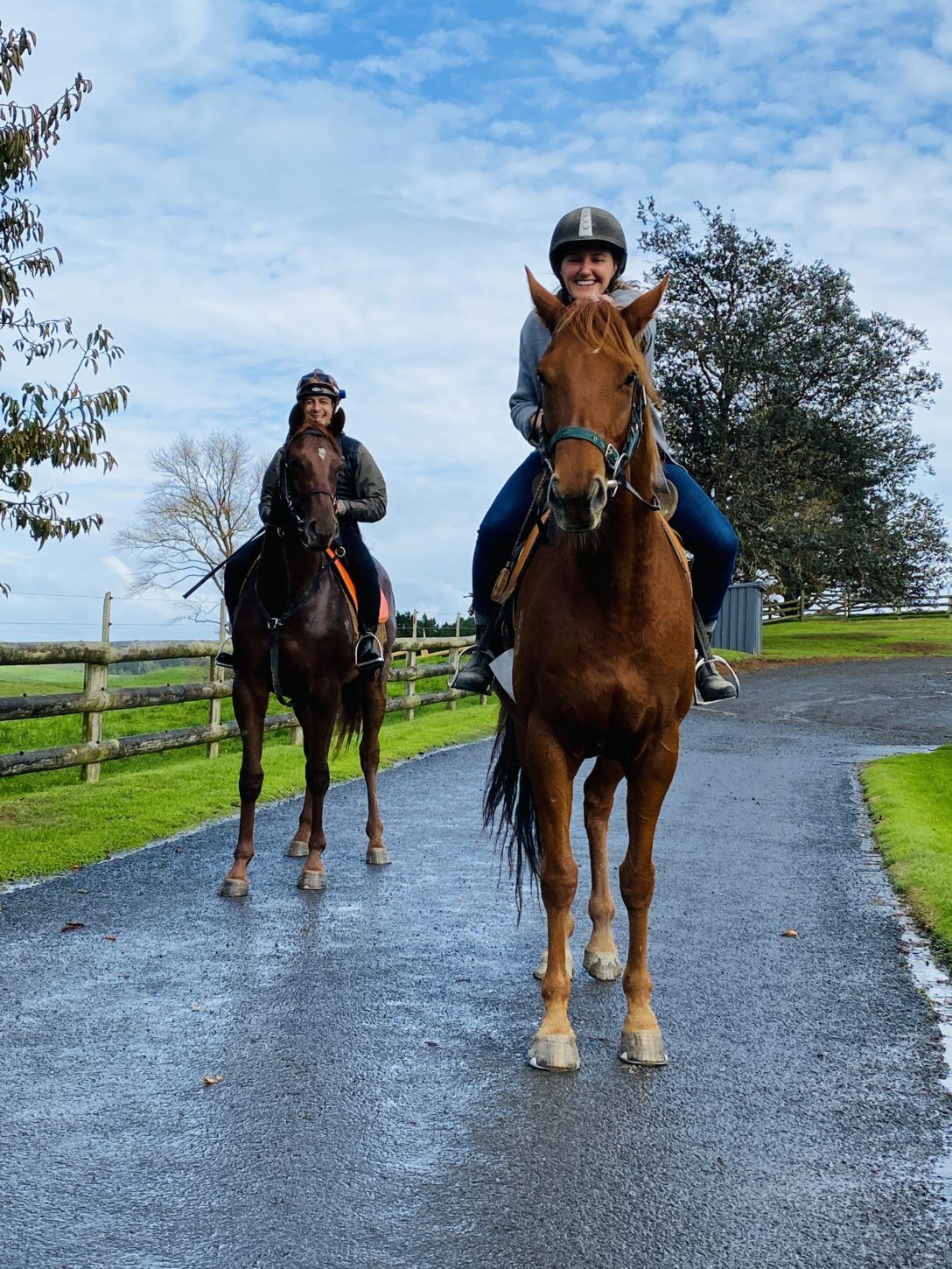 Te Akau Tuesday Update