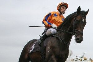 Xtravagant Seeks Happier Outcome