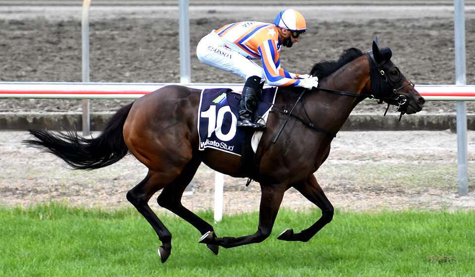 Madame Moet Sparkles at Matamata