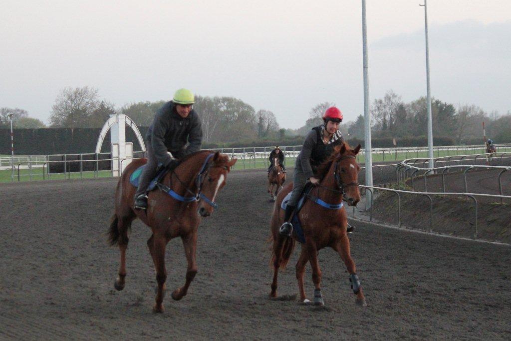 Te Akau Saturday Trackwork