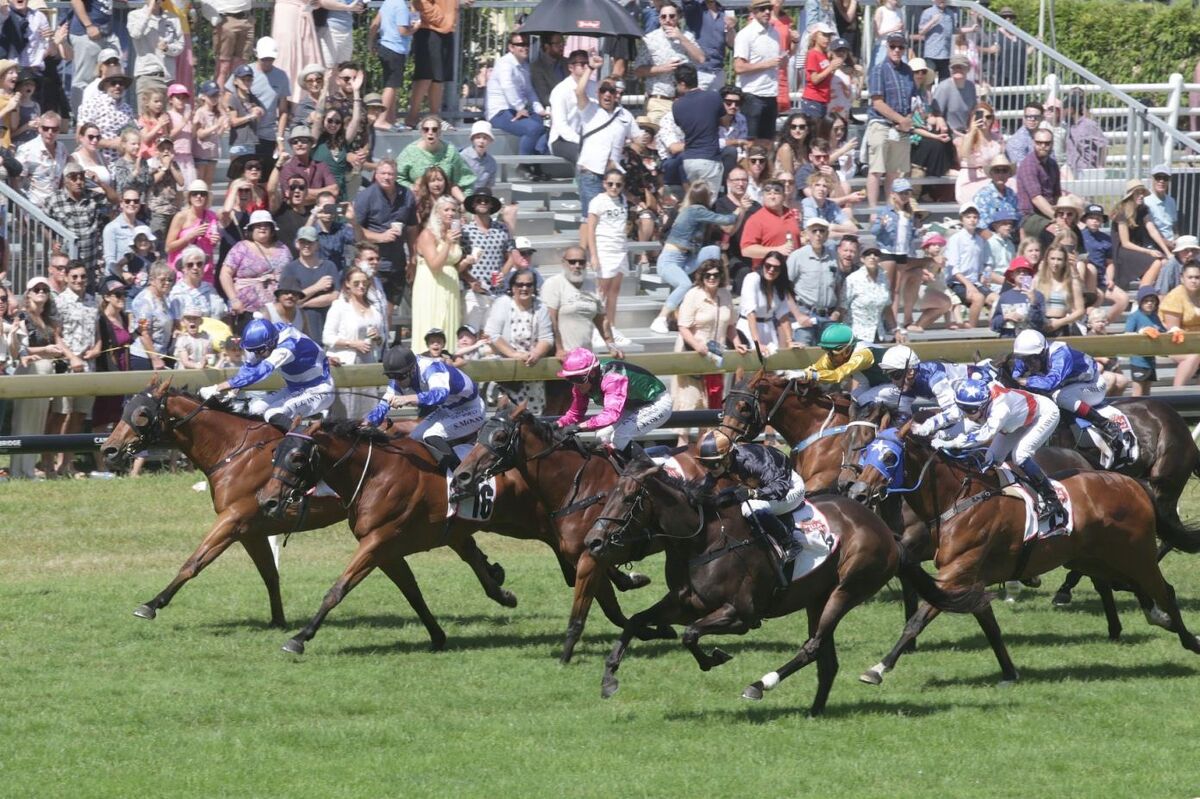 No Time for Mai Tai's as Karaka Looms