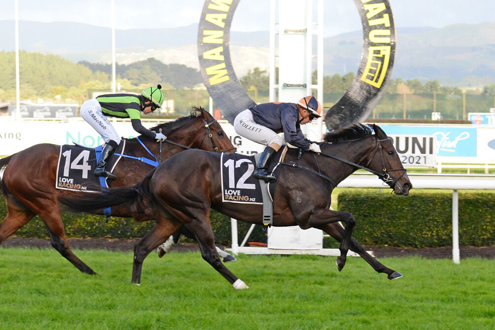 Mai Tai - Season Stakes' Winner 40
