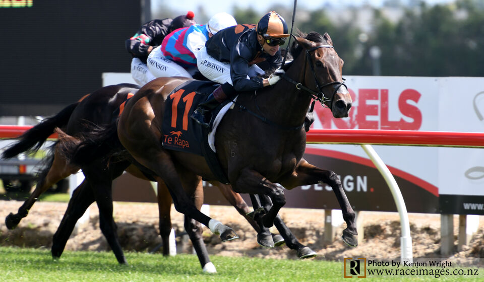 Te Rapa Treble - Win No.3 Mai Tai