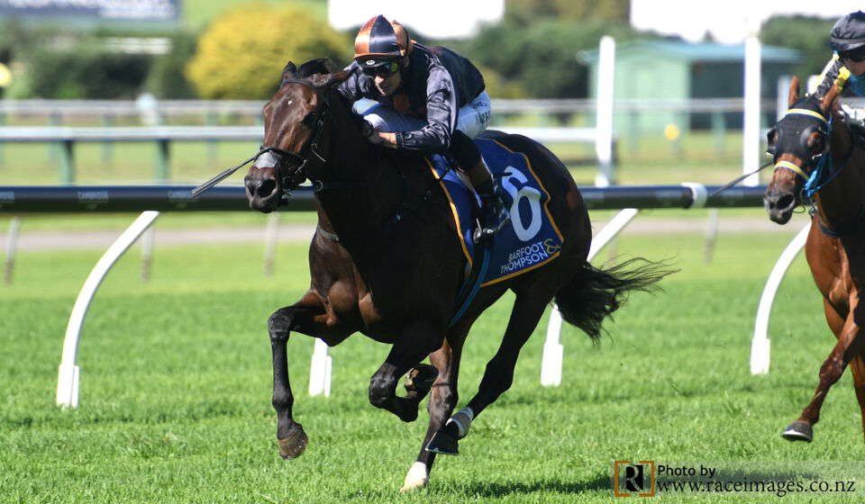 Ellerslie Double - Win 1 Mai Tai