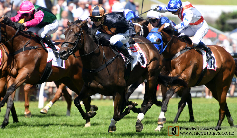 Te Akau Boxing Day Bonanza - Win 5 of 6 - Mai Tai