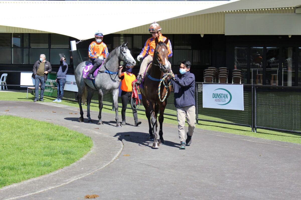 Te Akau Ellerslie Trials' Report