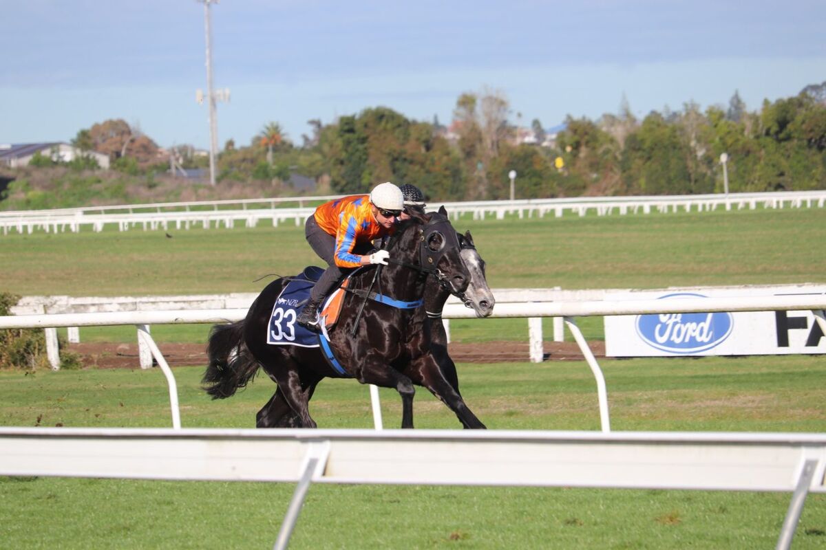 Te Akau Te Rapa Trials' Report