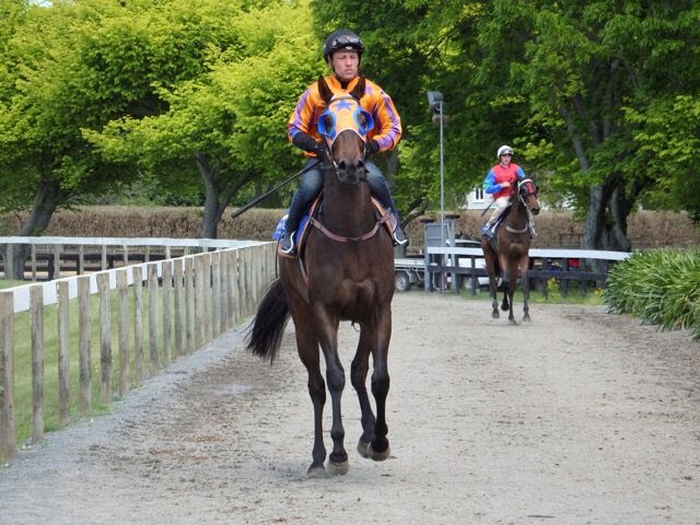 Te Akau Cambridge Trials' Report