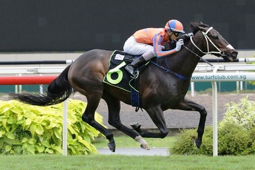 Double Major in Shafiq's Sights