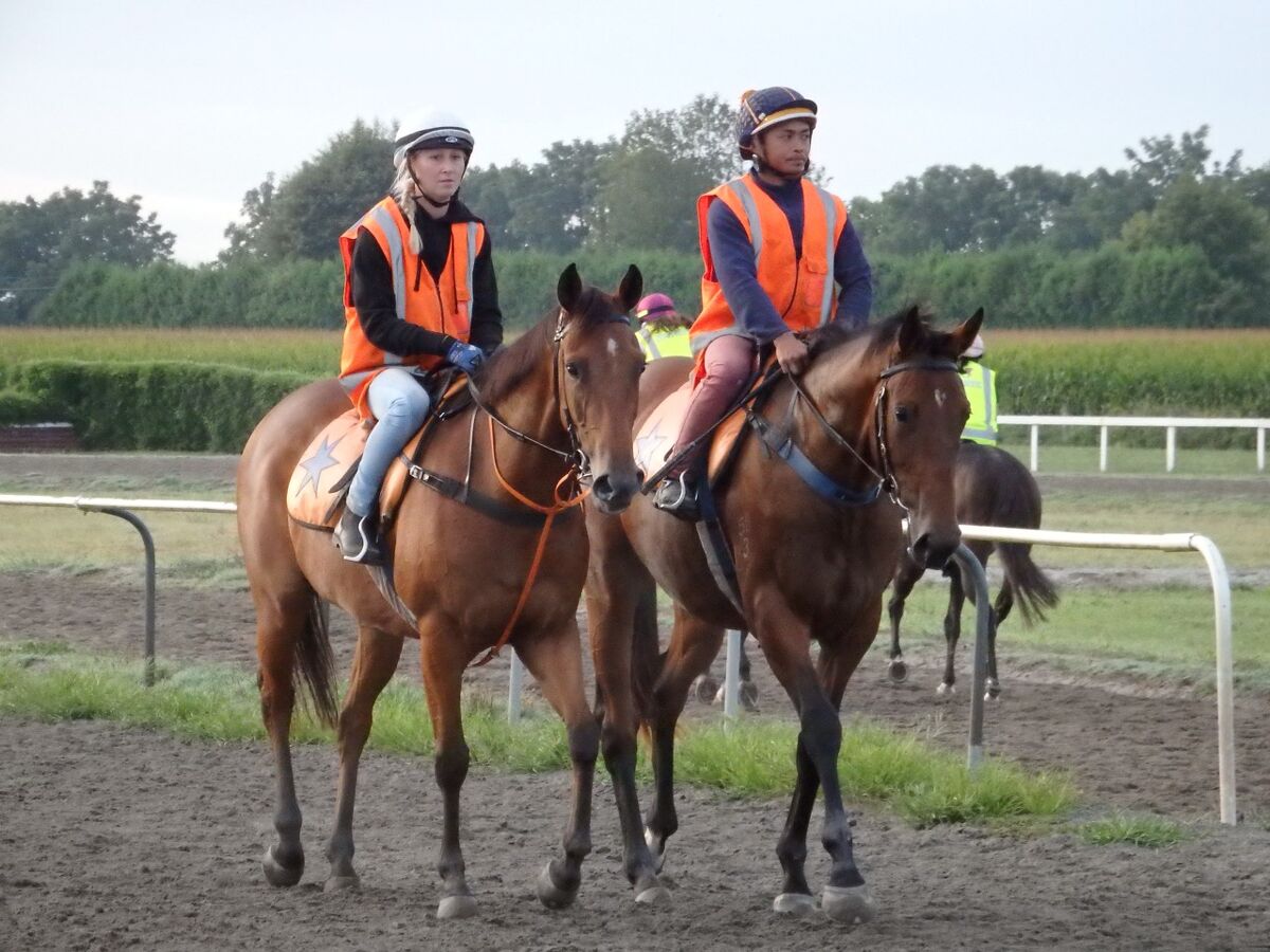 Te Akau Weekend Trackwork