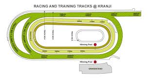 Te Akau Singapore Weekend Trackwork