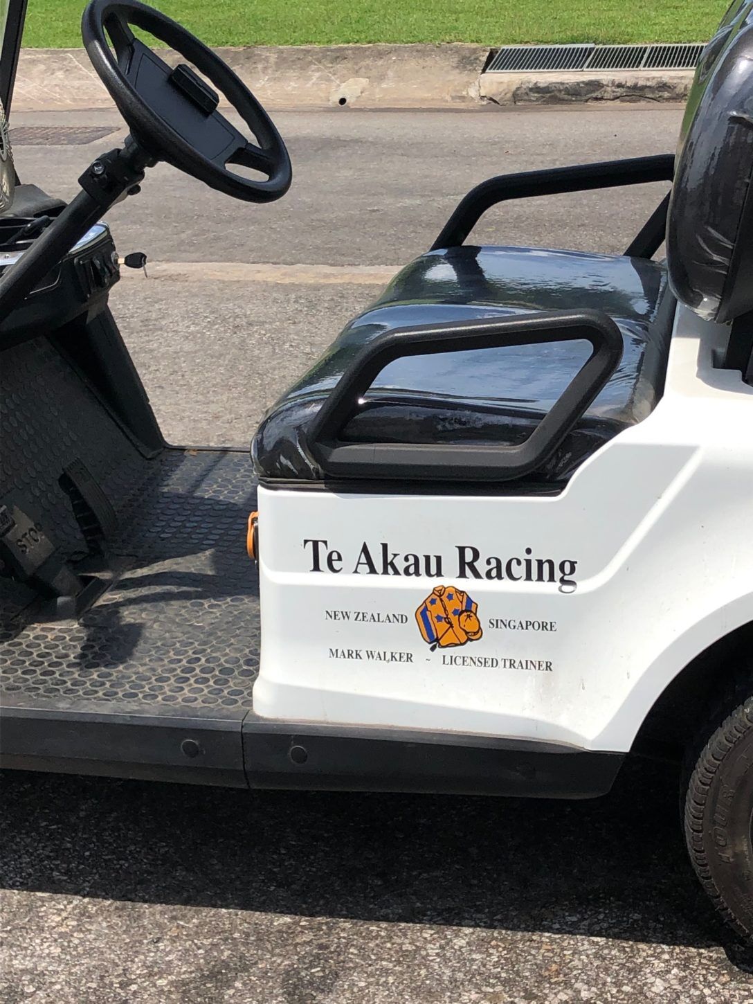 Te Akau Singapore Trackwork Update