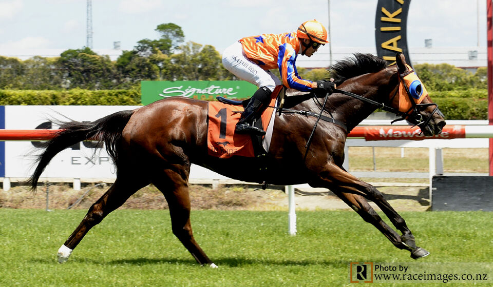 Te Akau North Island Saturday Preview