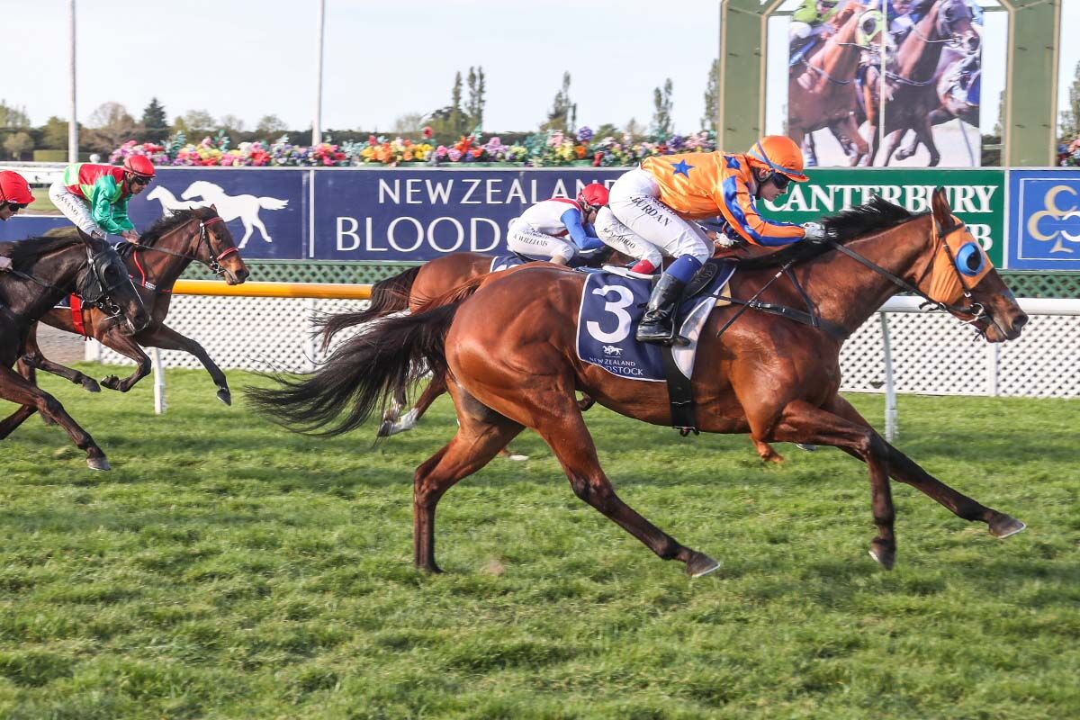 Super Saturday - Win No.3 Markus Aurelius Awesome