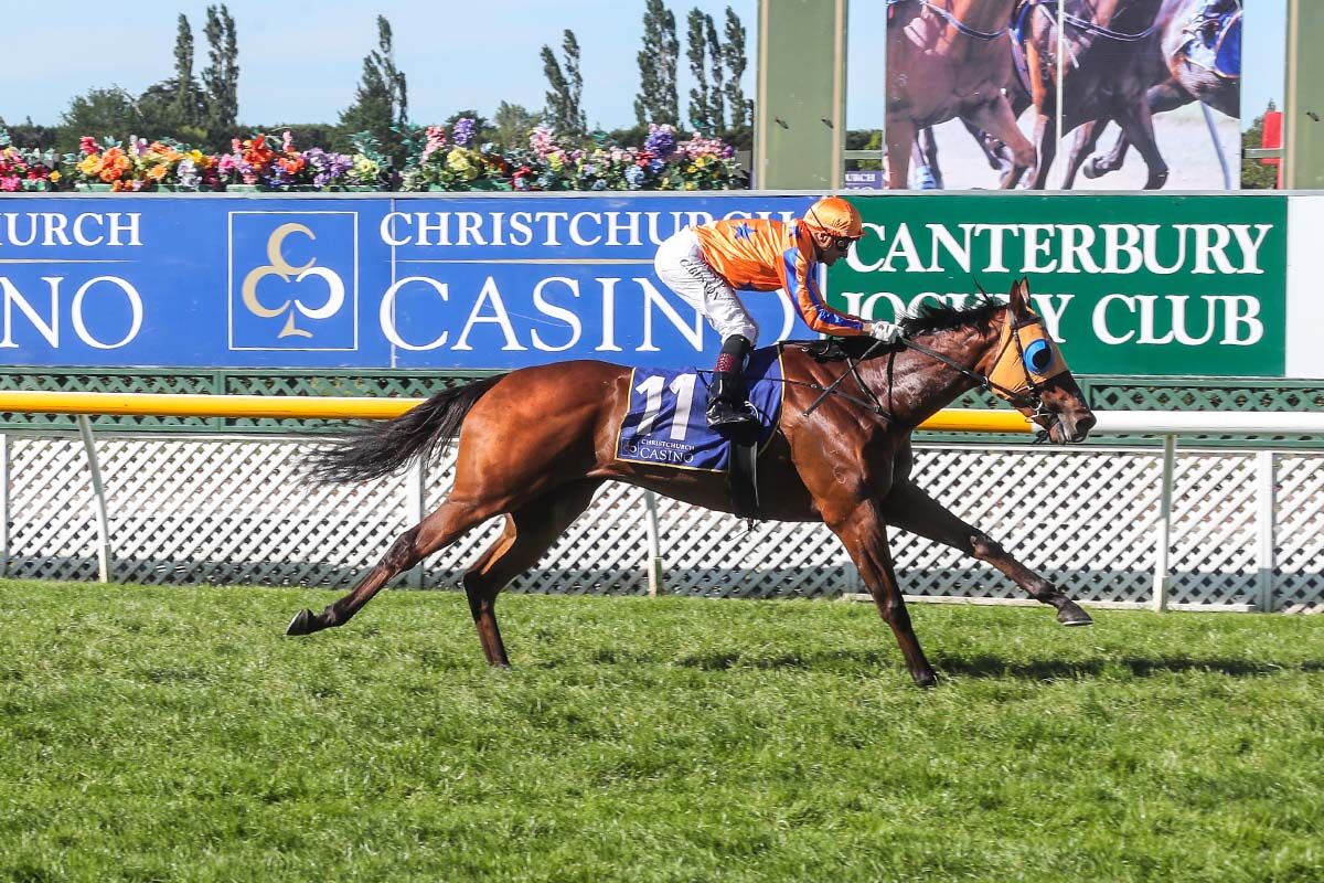 Six Win Saturday - Win No.6 Markus Aurelius