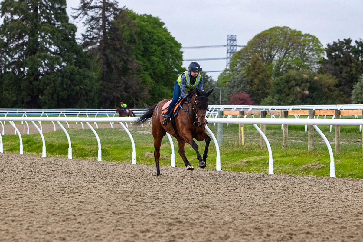 Te Akau TV Special - 17th Coupland's Bakeries Mile Day at Riccarton
