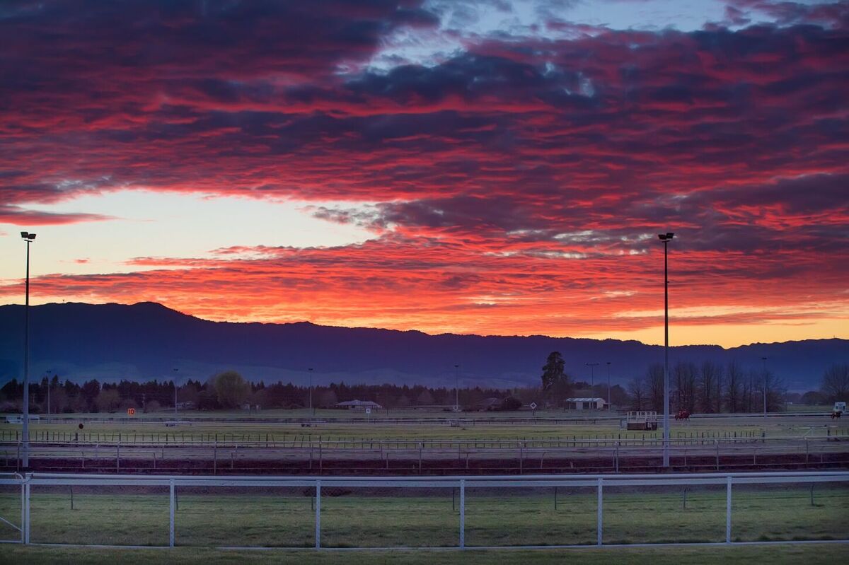 Te Akau Weekend Trackwork