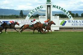 Te Akau Matamata Preview