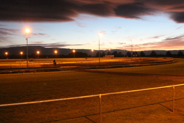 Te Akau Tuesday Trackwork