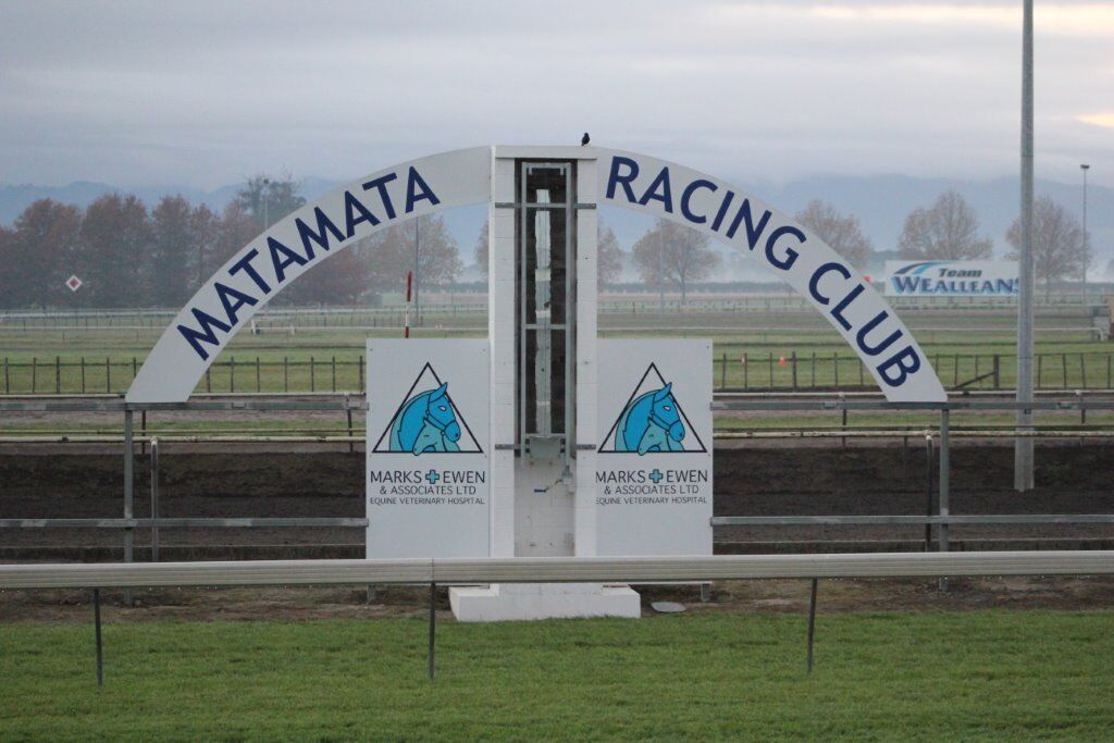 Te Akau NZ Matamata Preview