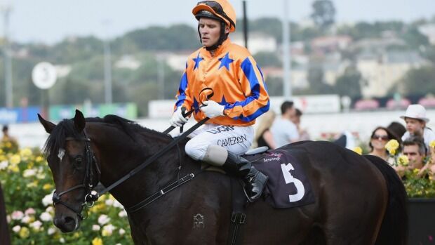 Xtravagant Heads Home for Break