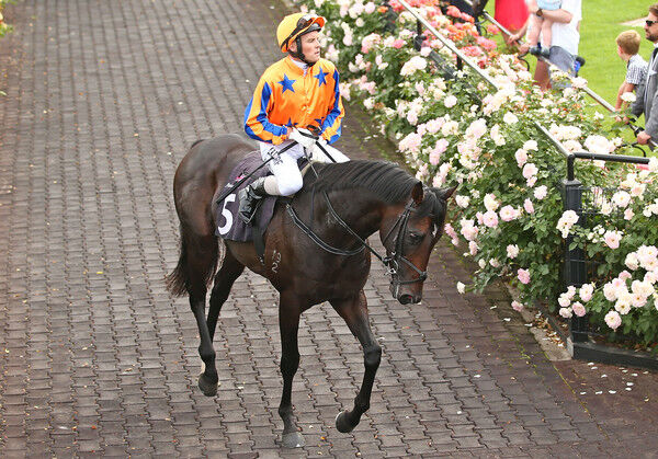Xtravagant Heads Bobbie Lewis Field