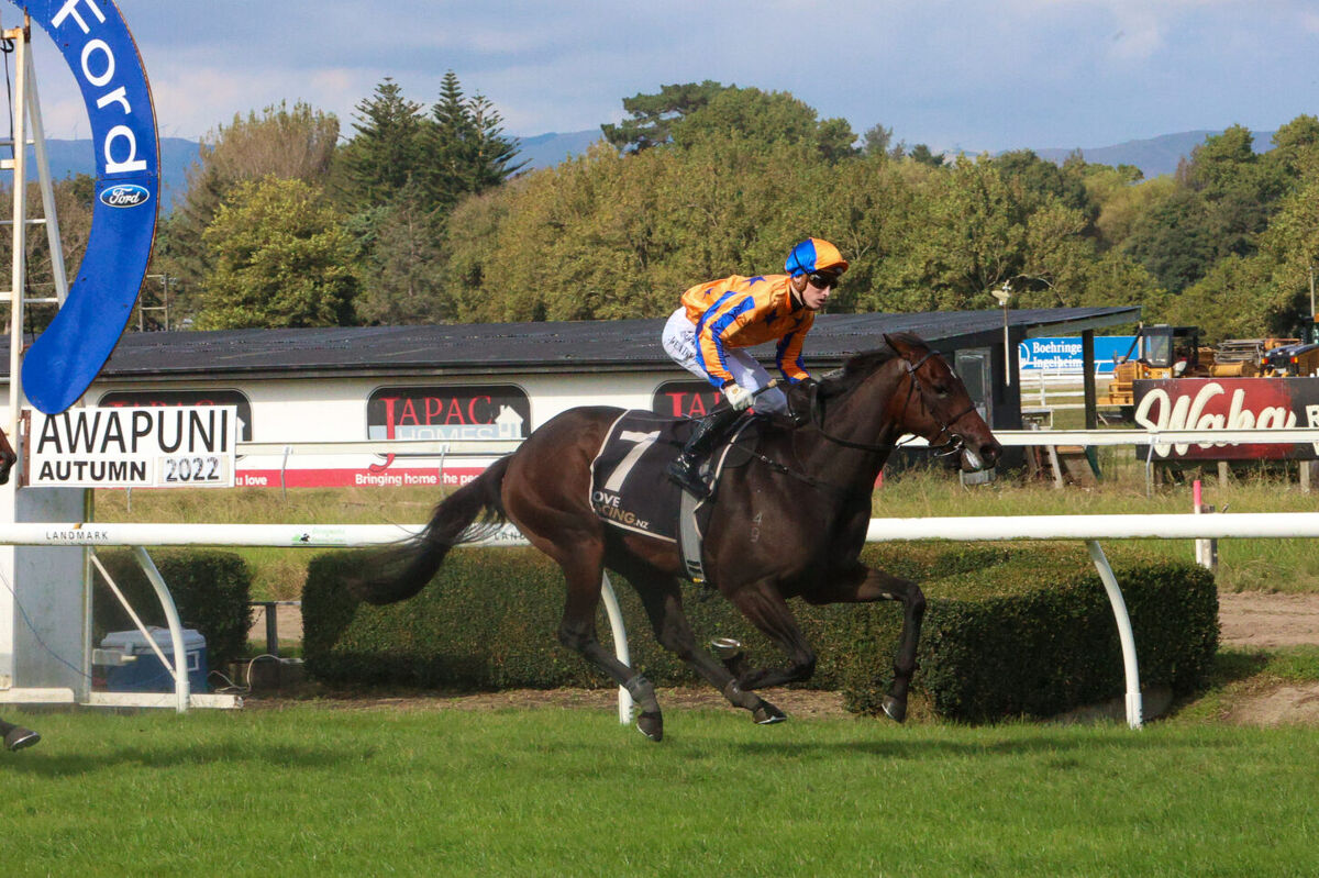 Te Akau TV - Weekend Preview